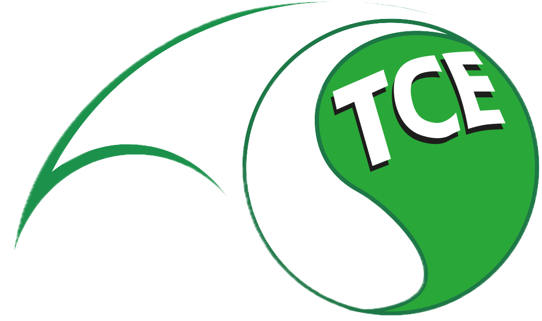 TC Empfingen